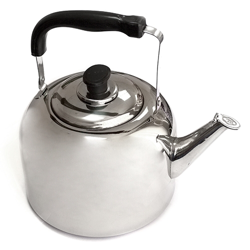 Чайник (нержав.) 6,0 л. FT-2901-2010504