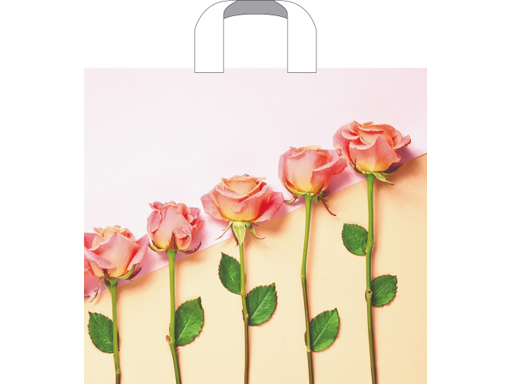 Пакет ПЭ с петлевой ручкой 38х43+3 (70) (Признание) Россия