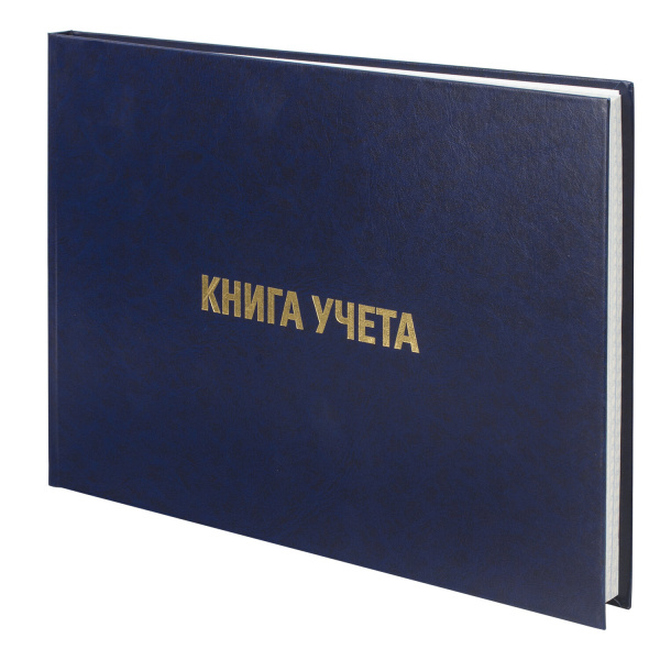 Книга учета 160 л., клетка, твердая, бумвинил, блок офсет, альбомная, А4 (210х295 мм), BRAUBERG, 130