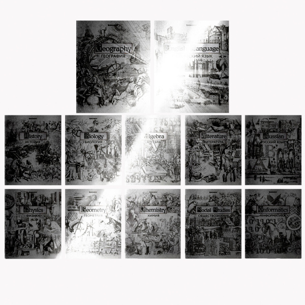 Тетради предметные, КОМПЛЕКТ 12 ПРЕДМЕТОВ, SILVER, 48л, С СЕРЕБРЯНОЙ ОБЛОЖКОЙ, BRAUBERG