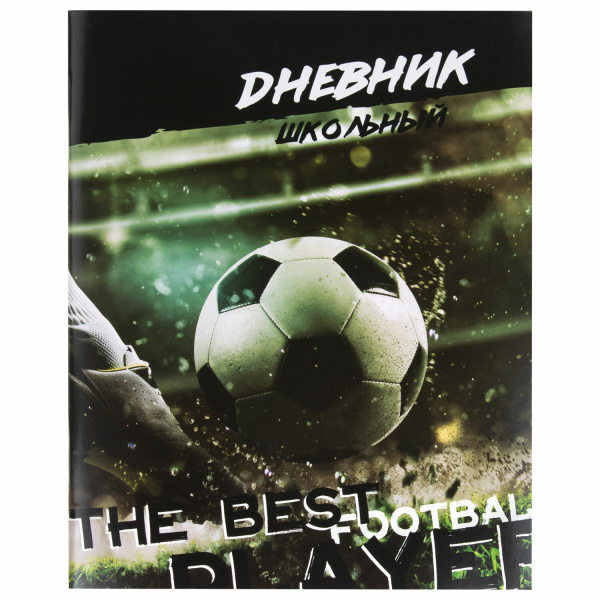 Дневник 1-11 класс 40л, на скобе, ПИФАГОР, обложка картон, Футбол, 106817