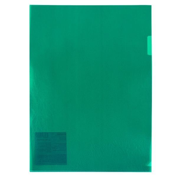 Папка-уголок Expert Complete "Premier", А4, 180мкм, зеленая