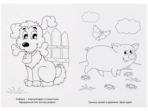 224515 Домашние животные.Первая раскраска малый формат.Формат:145х210 мм. Объем:16 стр.Умка в к.50шт