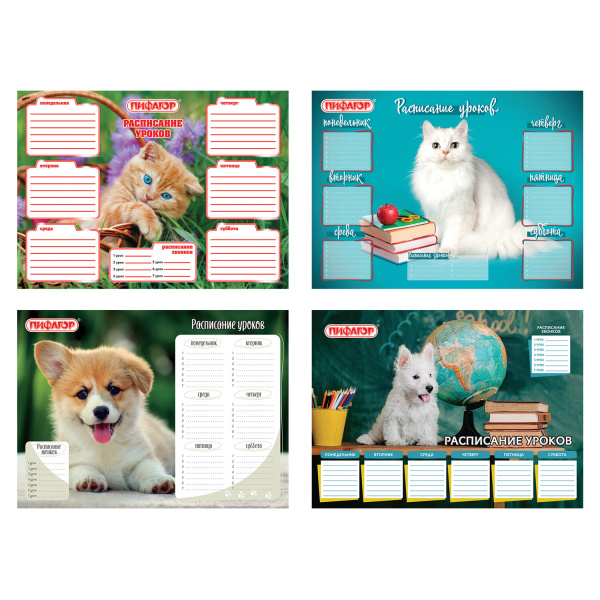Расписание уроков и звонков А4, ПИФАГОР, домашние любимцы, ассорти (4 вида), бумага 150 г/м2