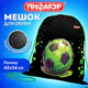 Мешок для обуви ПИФАГОР, 1 отделение, 42х34 см, "Вне сети", 273424
