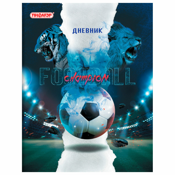 Дневник 1-11 класс 40л, на скобе, ПИФАГОР, обложка картон, Football, 106341