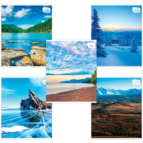 Тетрадь 48л. клетка BRAUBERG, обложка картон, ПРИРОДА