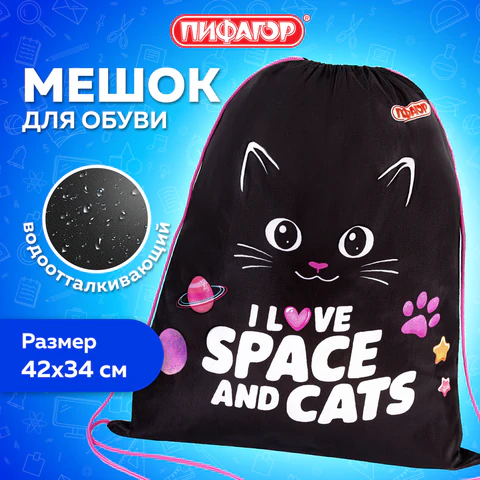 Мешок для обуви ПИФАГОР, 1 отделение, 42х34 см, "Черный кот", 273419
