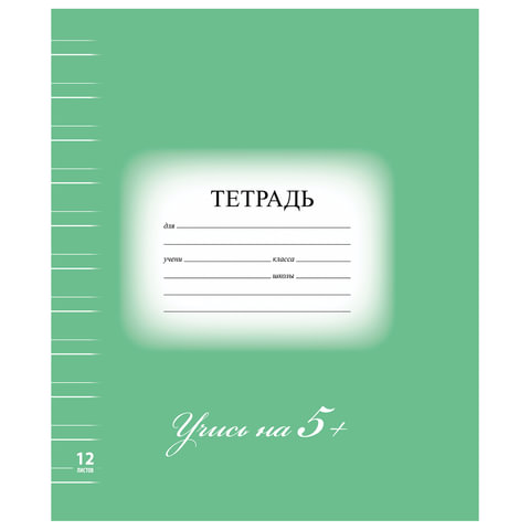 Тетрадь 12л. BRAUBERG ЭКО "5-КА", узкая линия, обложка плотная мелованная бумага, ЗЕЛЕНАЯ