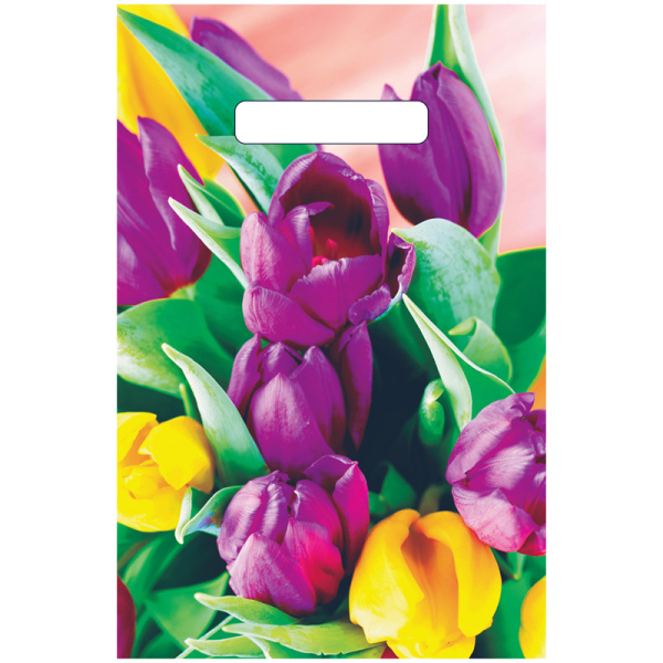 Пакет с прорубной ручкой Артпласт "Кассандра", 20*30см, 30мкм ВНР40891