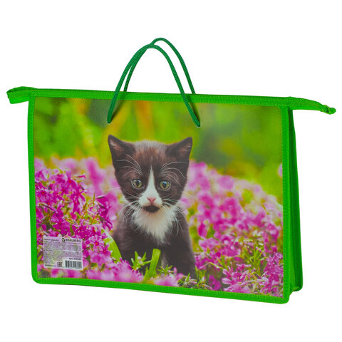 Папка-сумка BRAUBERG на молнии с веревочными ручками А4, пластик, дев., Котенок, 225503