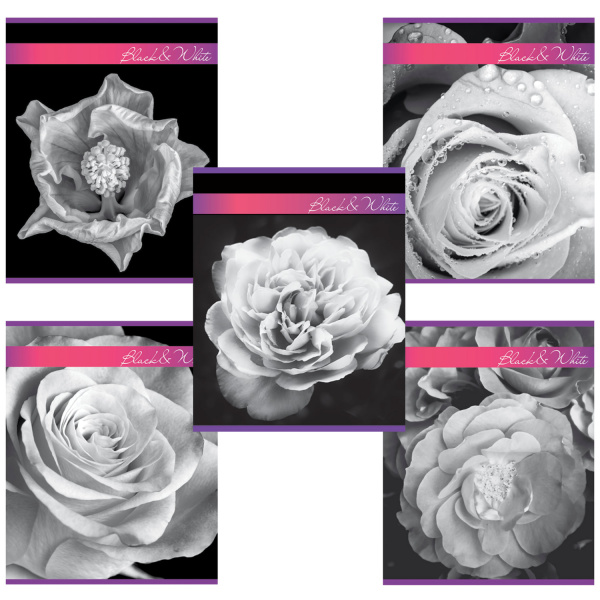 Тетрадь 48л. клетка BRAUBERG, металлизированный картон, ЧЕРНО-БЕЛОЕ