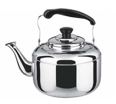 Чайник нерж. 6,0   BK-S488