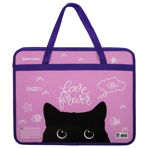 Папка с ручками BRAUBERG А4, 1 отделение, пластик, молния сверху, 75 мм, Black Cat, 270122